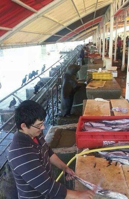 잠복 3일째. 점점 익숙해지고 있다