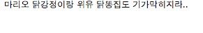 한국에서 환생한 IT 인재들