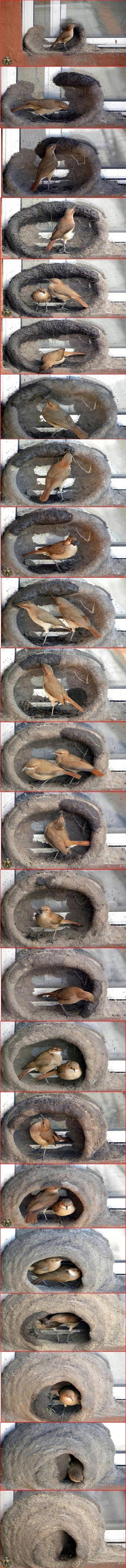 창문에 집짓기.jpg