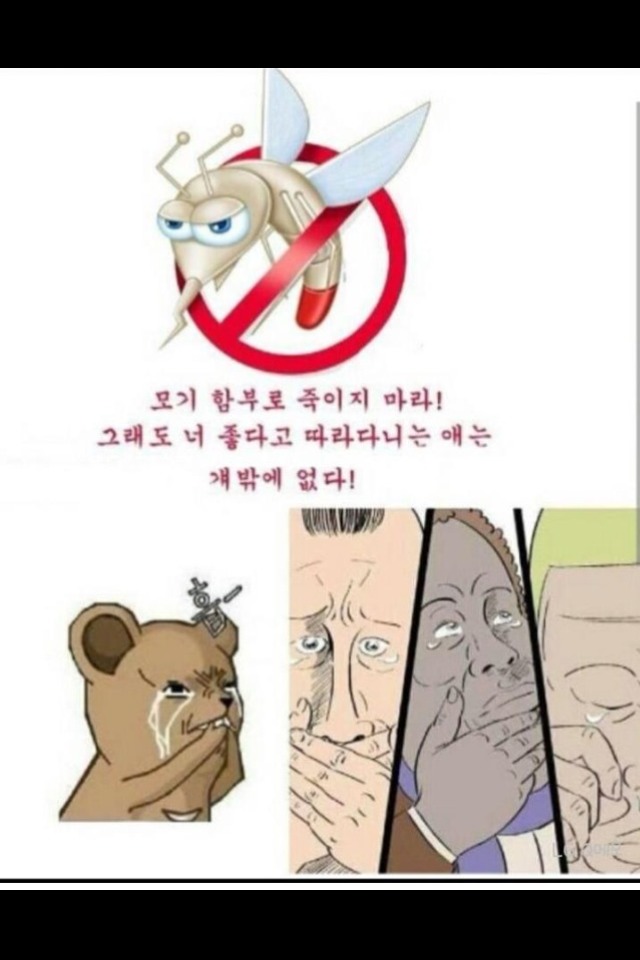 모기욕하지마라