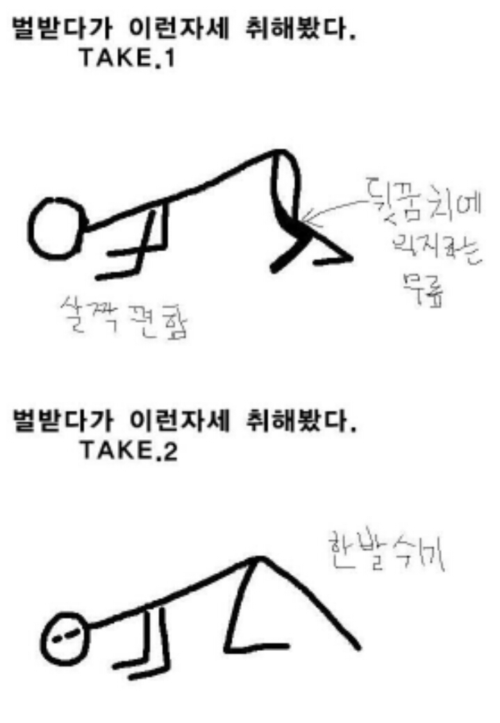(공감) 야이자식아 엎드려뻗쳐~!!