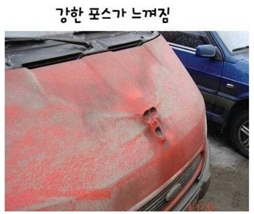 피식짤 모음
