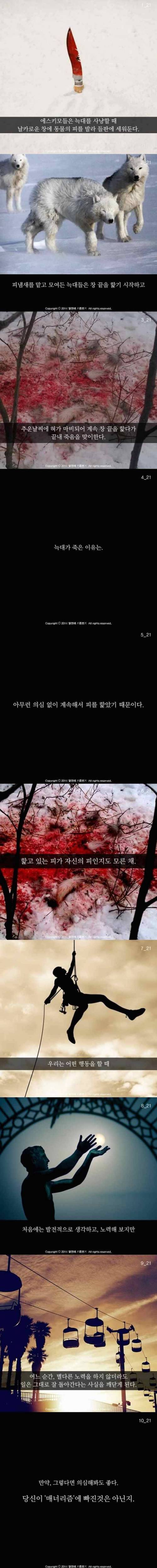 늑대가 죽은 이유