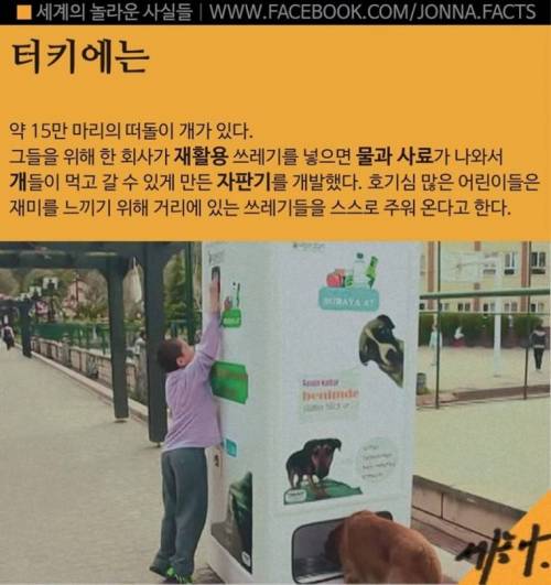 터키의 자판기.jpg