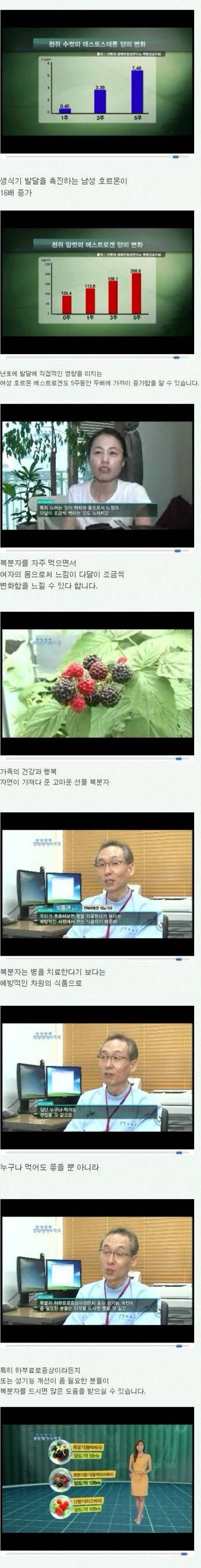 정력에 좋다는 복분자.jpg