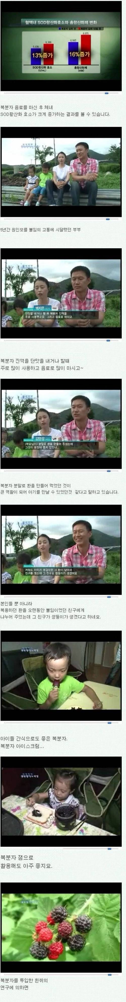 정력에 좋다는 복분자.jpg