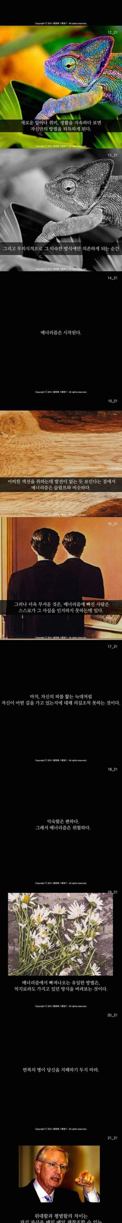 늑대가 죽은 이유
