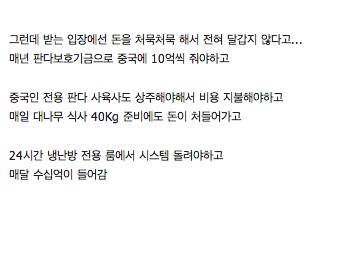중국이 판다를 선물하는 이유
