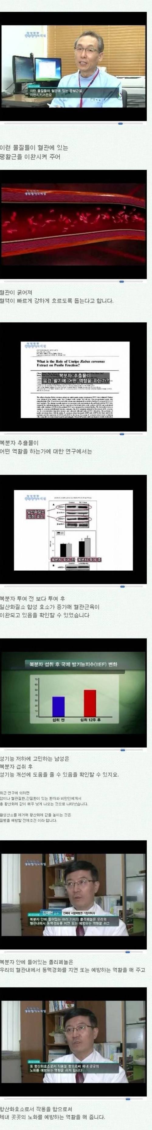 정력에 좋다는 복분자.jpg