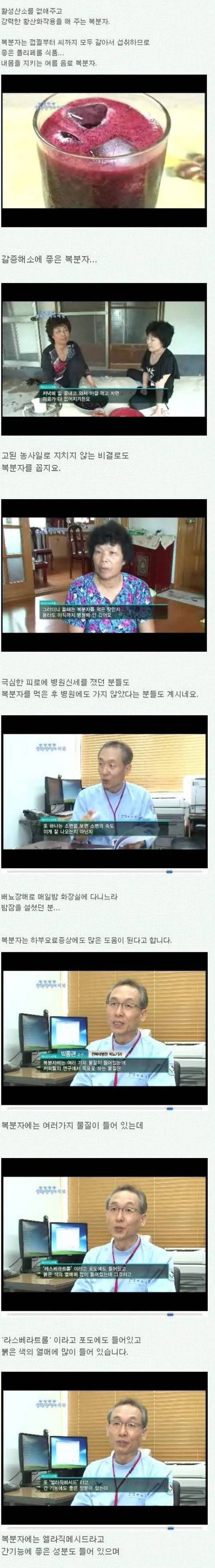 정력에 좋다는 복분자.jpg