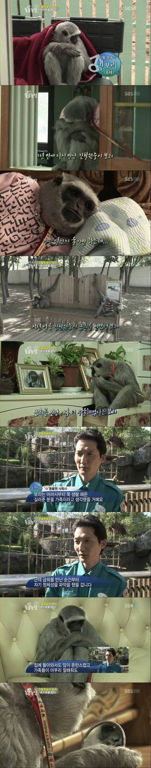정체성에 혼란.jpg