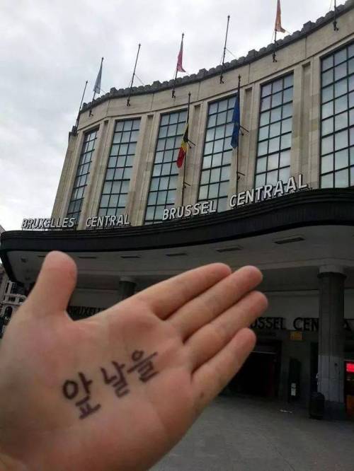 혼자 유럽12개국을 여행 신박한 인증샷