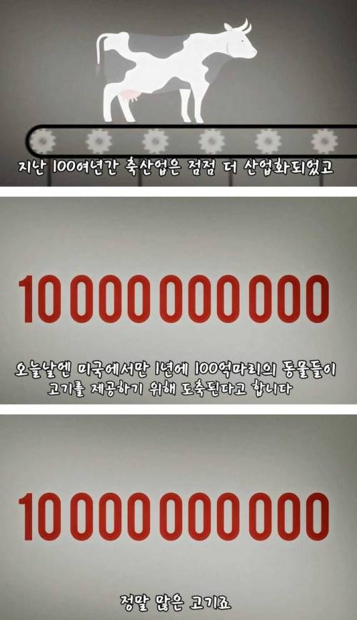 [스압]미래의 고기, 배양육