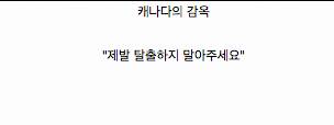 평화로운 캐나다.jpg