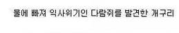다람쥐 살린 개구리