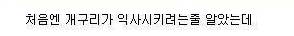 다람쥐 살린 개구리