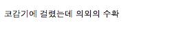 [스압]개와 고양이가 비눗방울을 만났을 때..