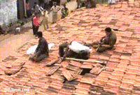 인도의 지붕 공사 현장.gif