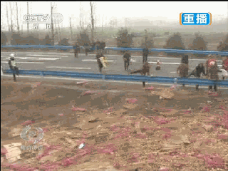 대륙의 교통사고 현장.gif