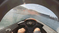 돌고래가 된다는 것.gif