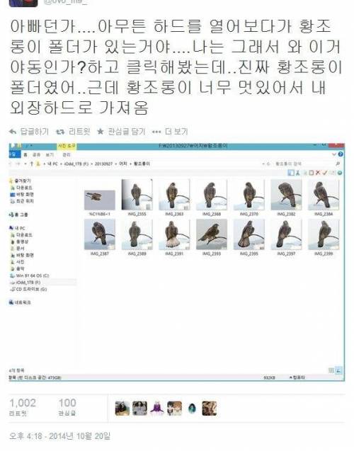아버지의 황조롱이 폴더
