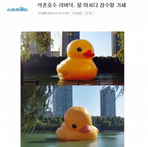 자극적인 기사들의 희생양이 된