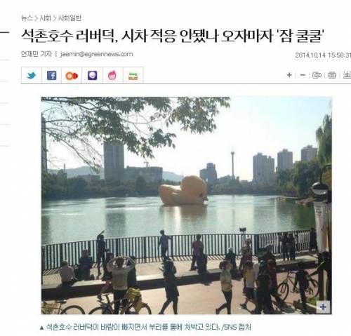 자극적인 기사들의 희생양이 된