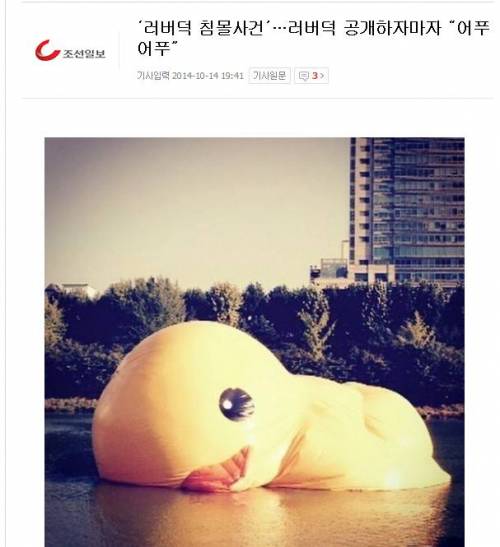 자극적인 기사들의 희생양이 된