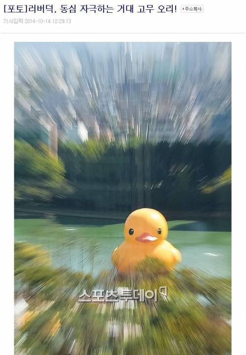 자극적인 기사들의 희생양이 된