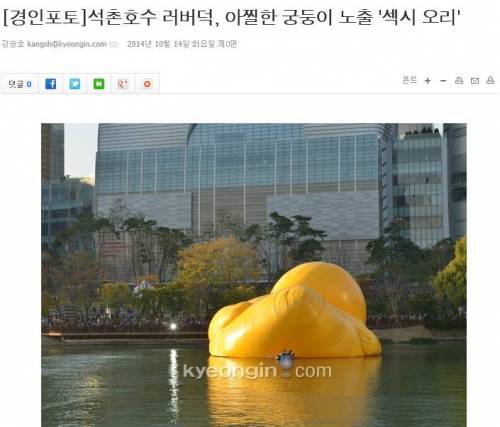 자극적인 기사들의 희생양이 된
