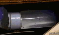 [혐]쥐가 화장실 변기로 올라가는 과정.gif