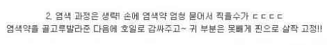 포메 염색.jpg