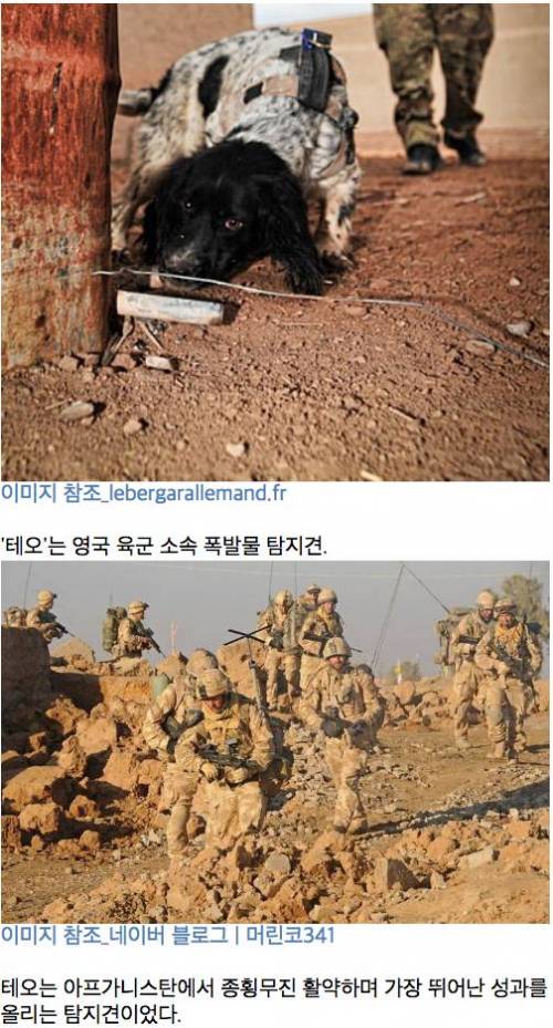 테스커와 테오