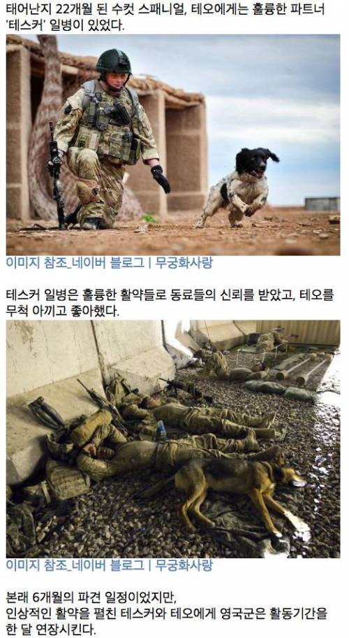 테스커와 테오