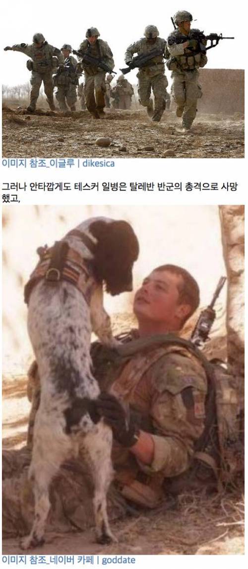 테스커와 테오