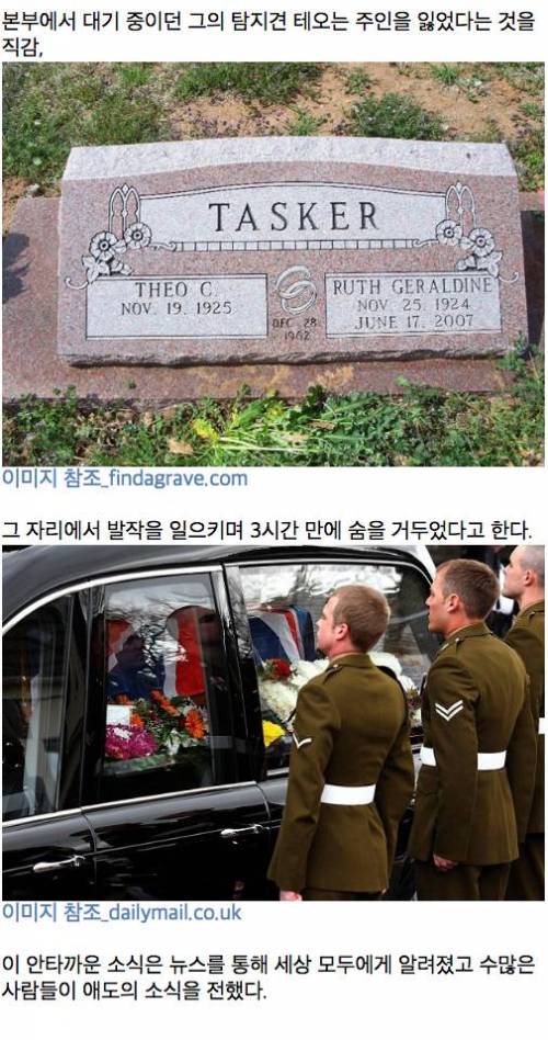 테스커와 테오