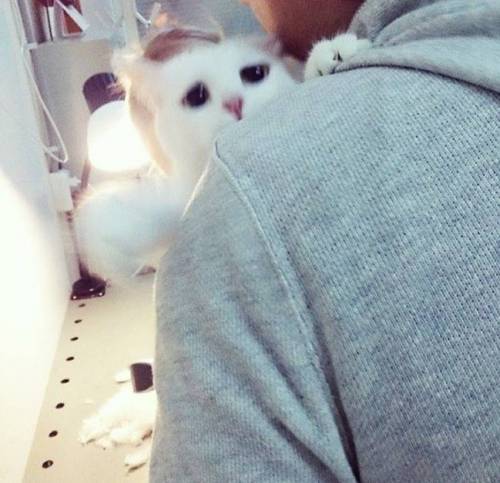오빠... 꼭 벗겨야겠어?