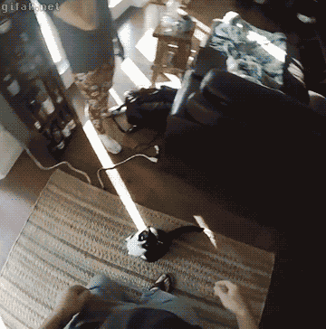 집사의 시점.gif