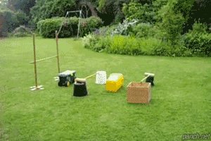 에어개.gif