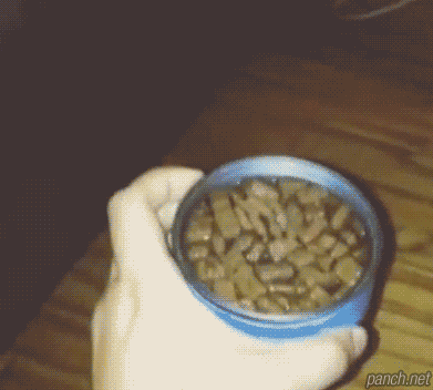 은밀한 거래.gif