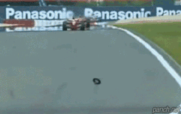 F1 선수의 반응 속도.gif