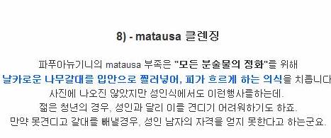 세계의 성인식.jpg