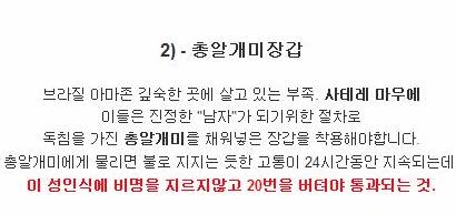 세계의 성인식.jpg