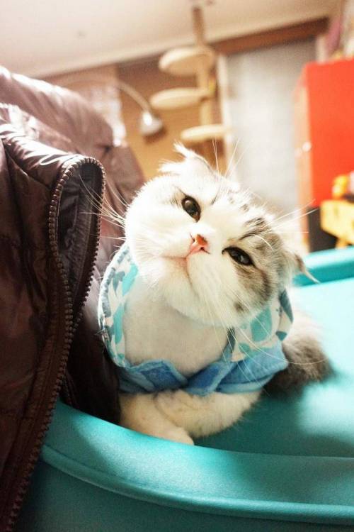 오빠 나 달라진거 없어?