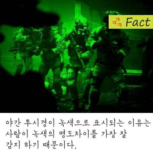 뭔가 신기한 사실