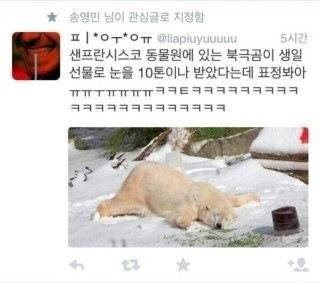 생일선물 받은 북극곰