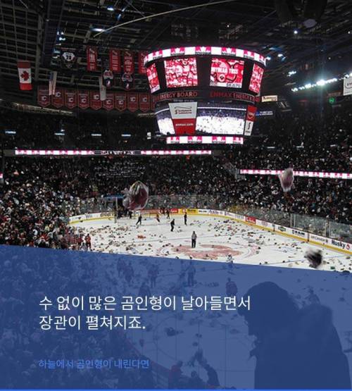하늘에서 곰인형이 내린다면