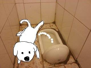 개전용 화장실.jpg
