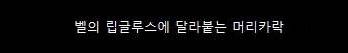 디즈니 공주들의 좀 더 현실적인 헤어스타일
