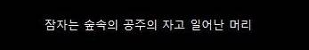 디즈니 공주들의 좀 더 현실적인 헤어스타일